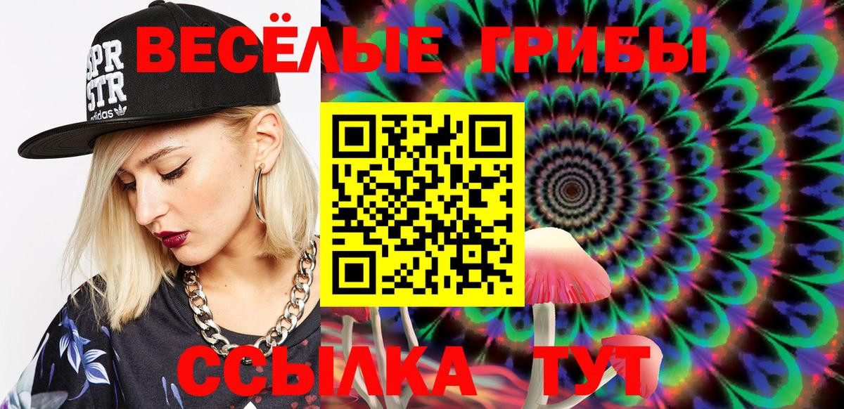Зима  Галлюциногенные грибы Psilocybe  Псилоцибиновые грибы GOLDEN TEACHER  Вход с VPN 